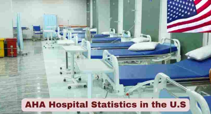 AHA Hospital Statistics in the U.S. 2025 | AHA Facts