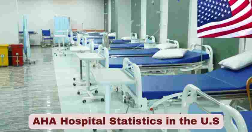 AHA Hospital Statistics in the U.S. 2025 | AHA Facts