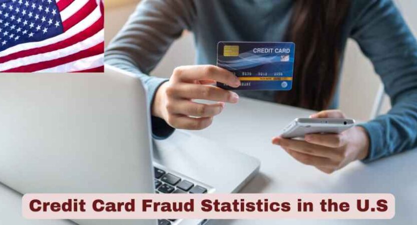 Credit Card Fraud Statistics in the US 2025 | Facts