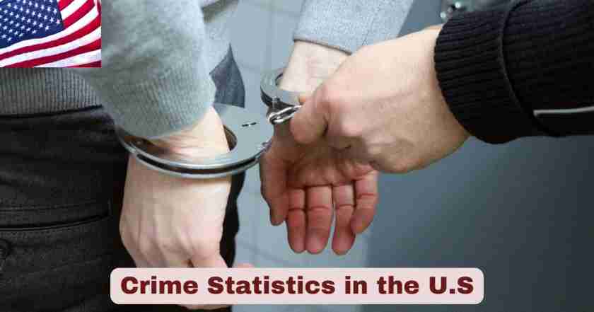 Crime Statistics in US 2025 | Facts about US Crime