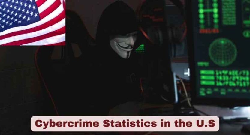 Cybercrime Statistics in the US 2025 | Facts about Cybercrime