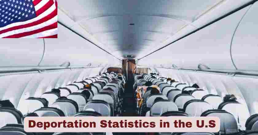 Deportation Statistics in the US 2025 | Deportation By Year