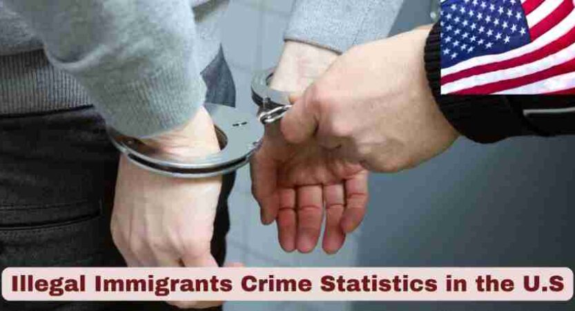 Illegal Immigrants Crime Statistics in the U.S 2025 | Key Facts