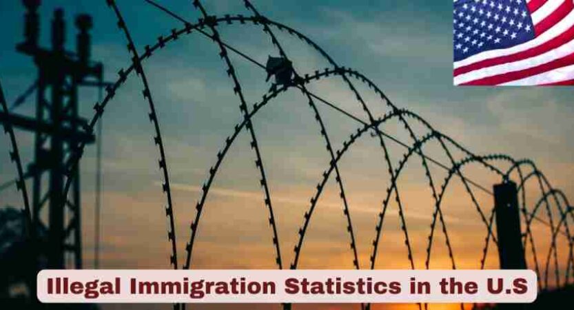 Illegal Immigration Statistics in the U.S. 2025 | Key Facts
