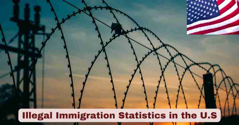 Illegal Immigration Statistics in the U.S. 2025 | Key Facts