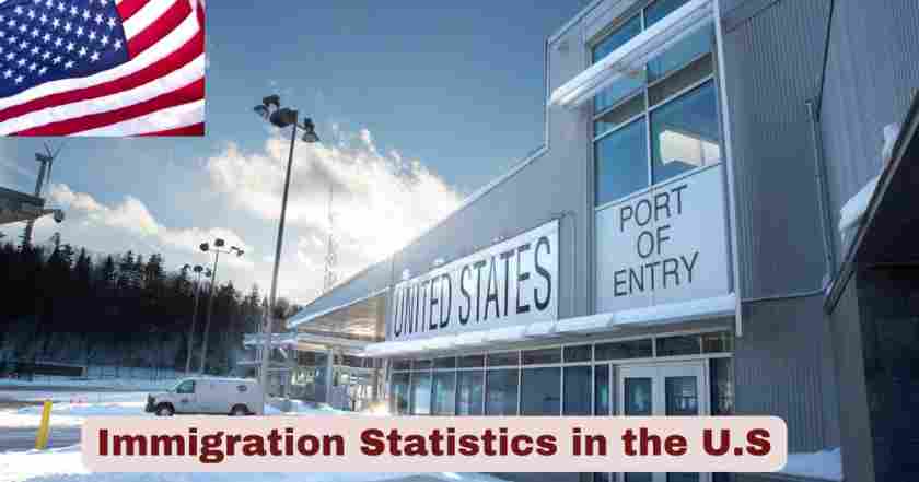 Immigration Statistics in the US 2025 | Immigration By Year