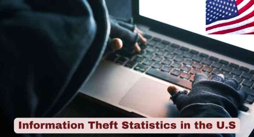 Information Theft Statistics in the US 2025
