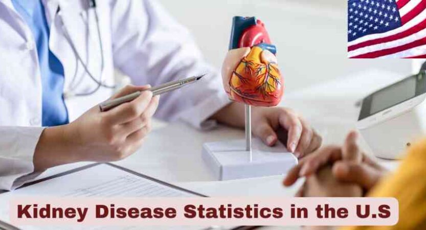 Kidney Disease Statistics in the U.S 2025 | Mortality Rate