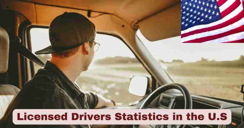 Licensed Drivers in the US 2025 | Stats & Facts about Licensed Drivers