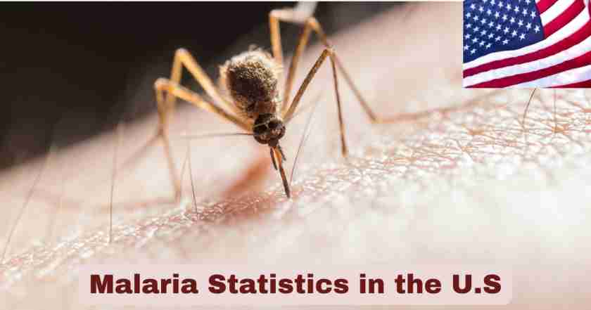 Malaria Statistics in the U.S. 2025 | Malaria Facts