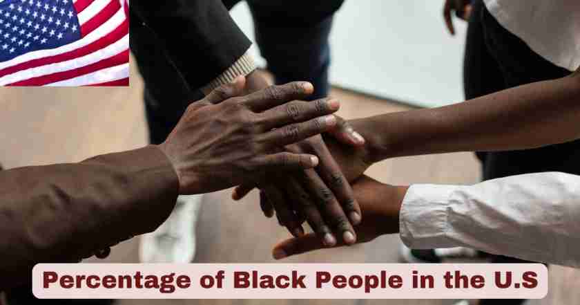 Percentage of Black People Statistics in the US 2025