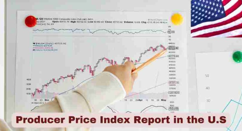 Producer Price Index Report in the U.S. 2025 | Facts & Stats