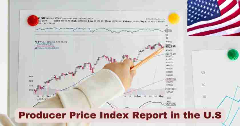 Producer Price Index Report in the U.S. 2025 | Facts & Stats