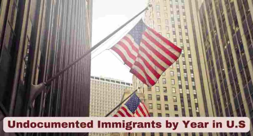 Undocumented Immigrants by Year in U.S 2025 | Stats & Facts