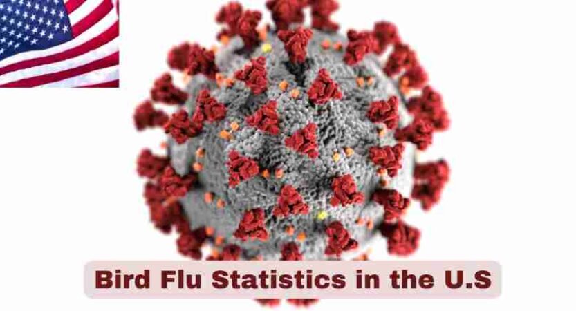 Bird Flu Statistics in the U.S. 2025 | Avian Flu Facts