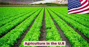 Agriculture in the U.S 2025 | Agriculture Stats & Facts