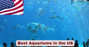 Best Aquariums in the US 2025 | Top 20 Aquariums Stats & Facts