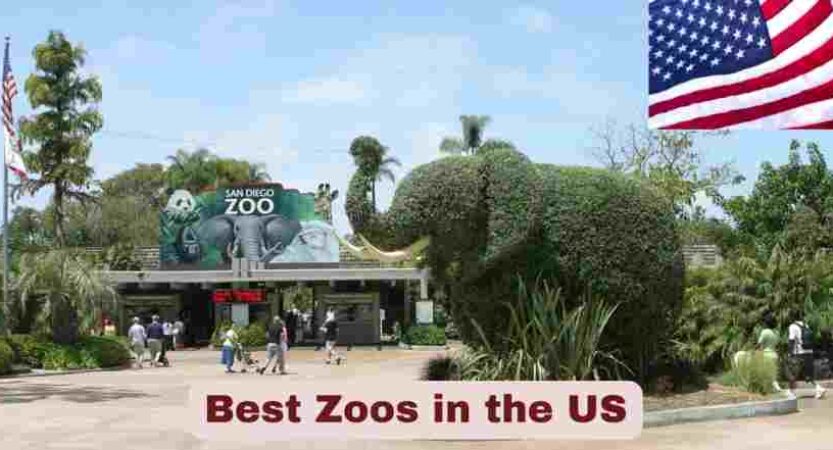 Best Zoos in the US 2025 | Stats & Facts about US Zoos