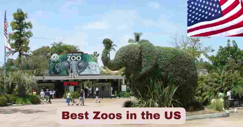 Best Zoos in the US 2025 | Stats & Facts about US Zoos