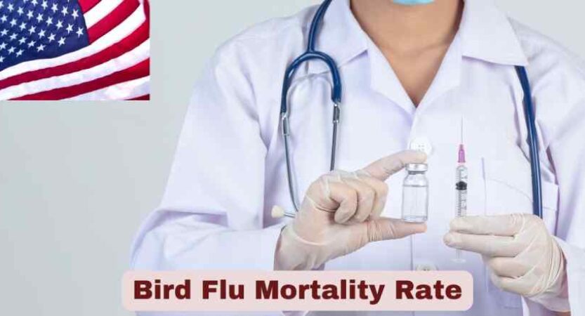 Bird Flu Mortality Rate 2025 | Statistics & Facts