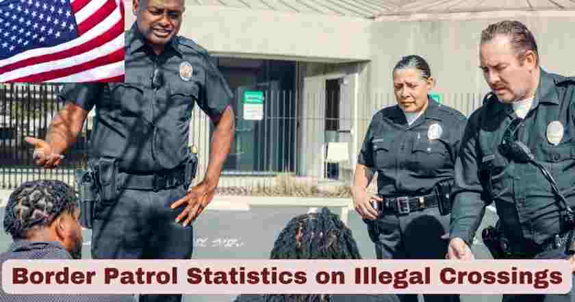 Border Patrol Statistics on Illegal Crossings 2025 | Key Facts