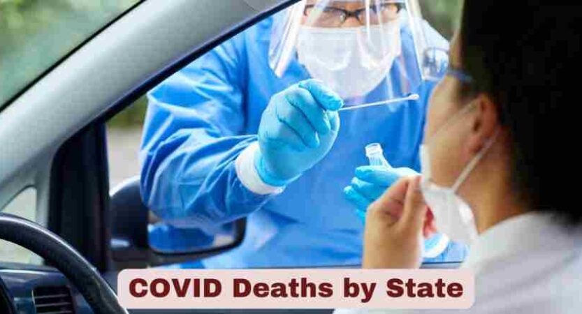 COVID Deaths by State | Statistics & Facts