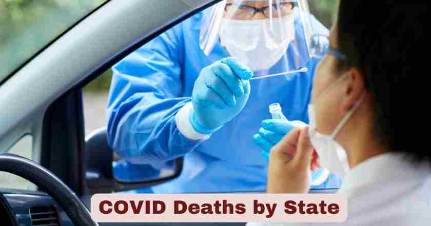 COVID Deaths by State | Statistics & Facts