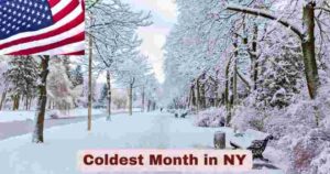 Coldest Month in NY 2025 | Stats & Facts