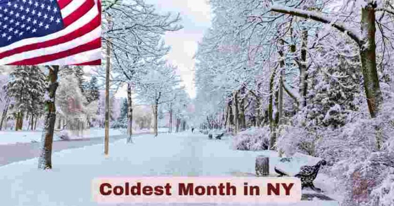 Coldest Month in NY 2025 | Stats & Facts – The Global Statistics