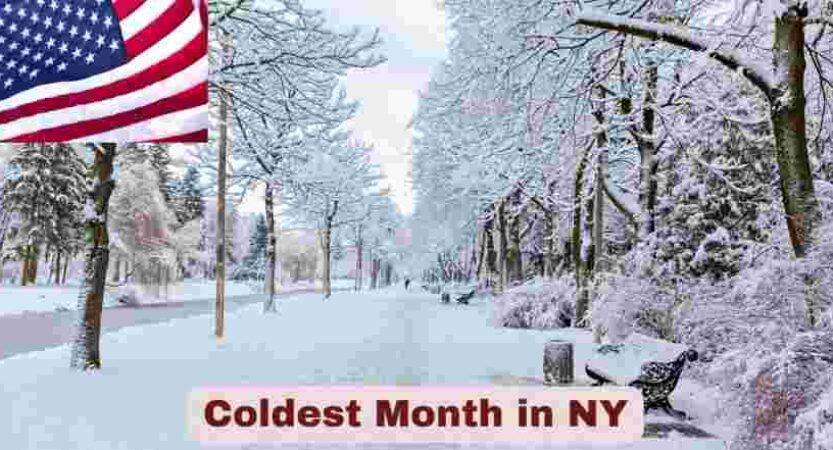 Coldest Month in NY 2025 | Stats & Facts