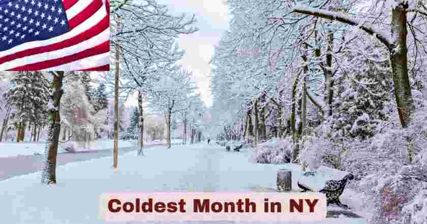 Coldest Month in NY 2025 | Stats & Facts