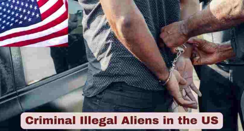 Criminal Illegal Aliens in the US 2025 | Stats & Facts