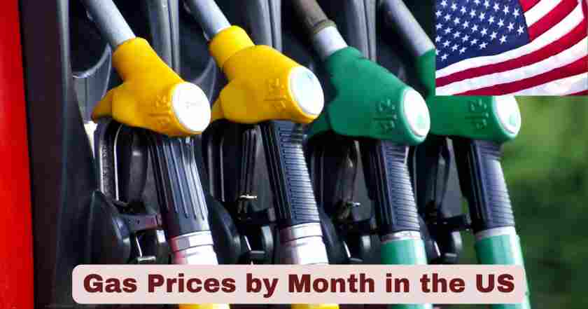 Gas Prices by Month in the US 2025 | Stats & Facts about Gas Prices