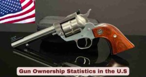 Gun Ownership Statistics in the U.S. 2025 | Facts About Gun Ownership