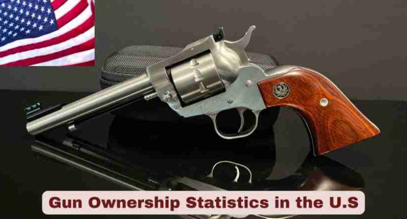 Gun Ownership Statistics in the U.S. 2025 | Facts About Gun Ownership