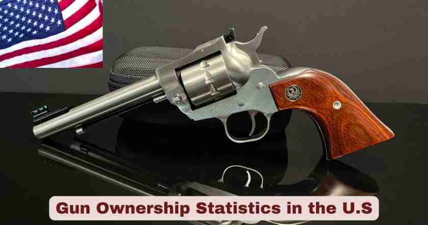 Gun Ownership Statistics in the U.S. 2025 | Facts About Gun Ownership