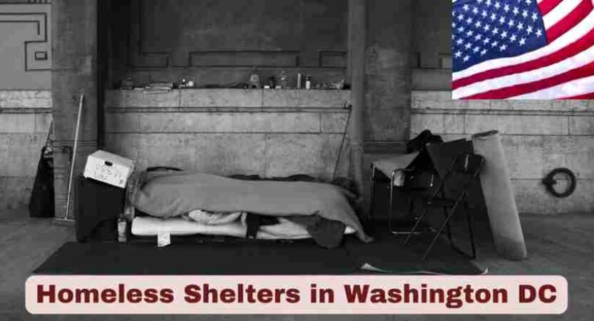 Homeless Shelters in Washington DC 2025 | Stats & Facts