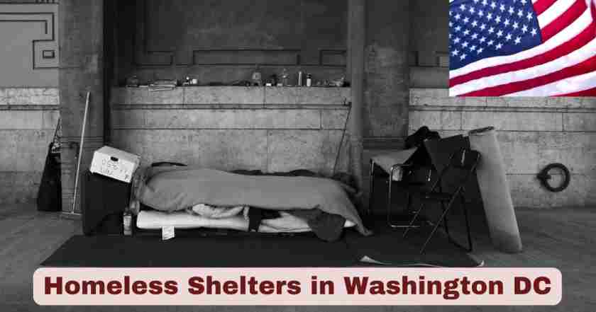 Homeless Shelters in Washington DC 2025 | Stats & Facts