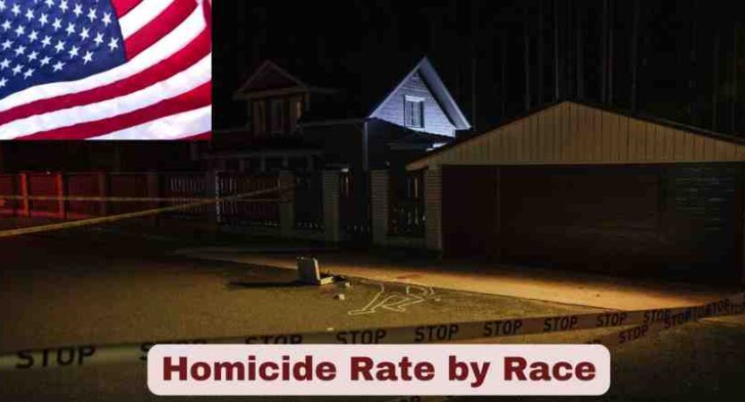 Homicide Rate by Race in the US 2025 | Statistics & Facts