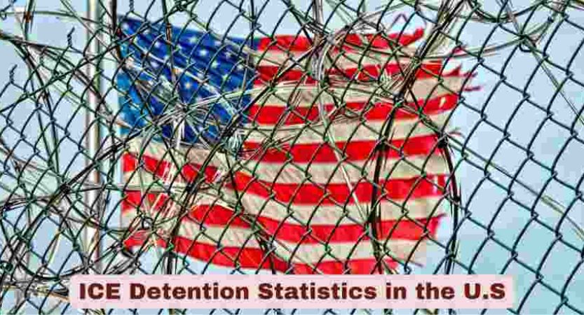 ICE Detention Statistics in the U.S 2025 | Facts about ICE Detention