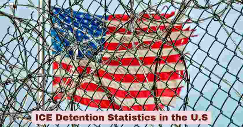 ICE Detention Statistics in the U.S 2025 | Facts about ICE Detention