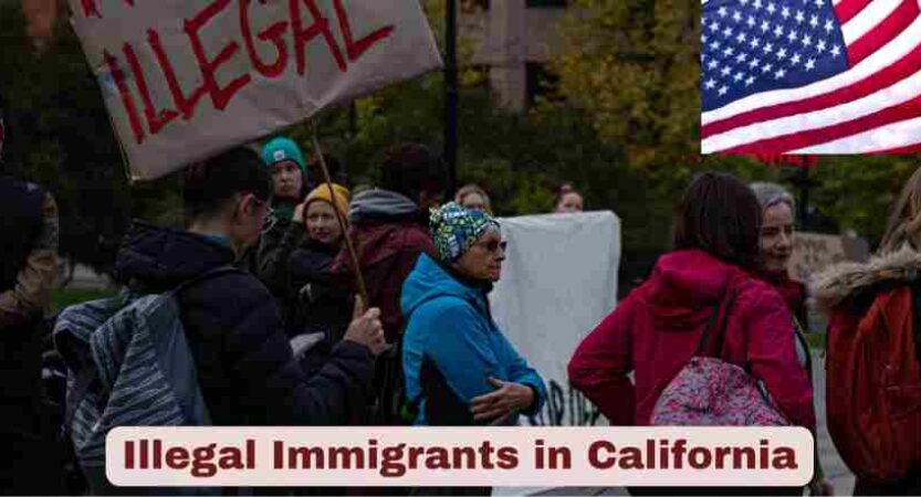 Illegal Immigrants in California 2025 | Stats & Facts