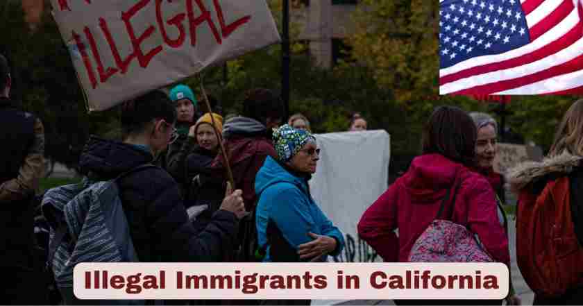 Illegal Immigrants in California 2025 | Stats & Facts