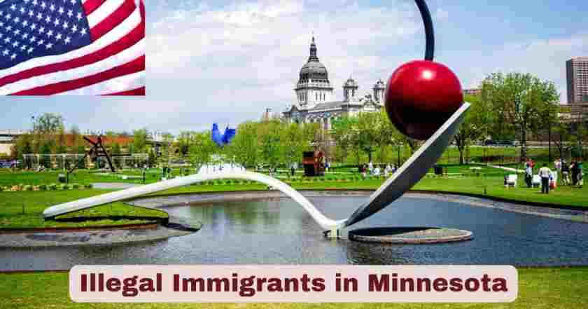 Illegal Immigrants in Minnesota 2025 | Stats & Facts
