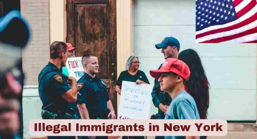 Illegal Immigrants in New York 2025 | Stats & Facts