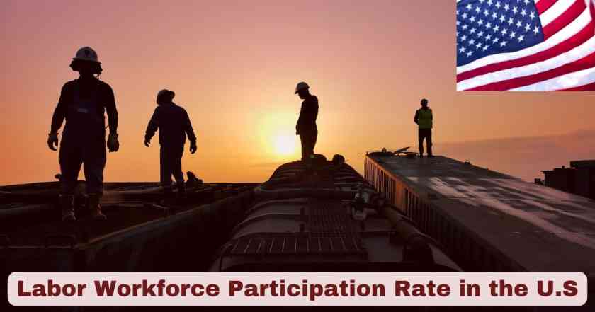Labor Workforce Participation Rate in the U.S 2025 | Stats & Facts