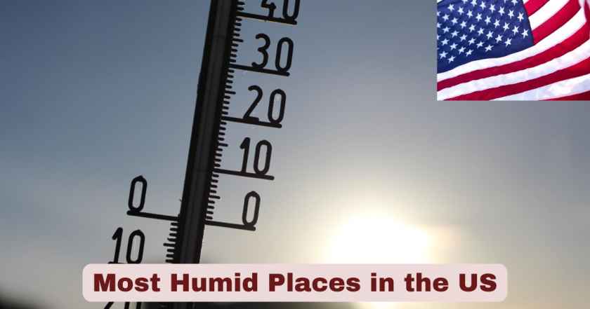 Most Humid Places in the US 2025 | Stats & Facts About Humid Places