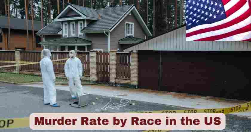 Murder Rate by Race in the US 2025 | Statistics & Facts