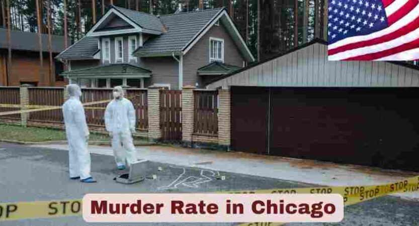 Murder Rate in Chicago 2025 | Statistics & Facts