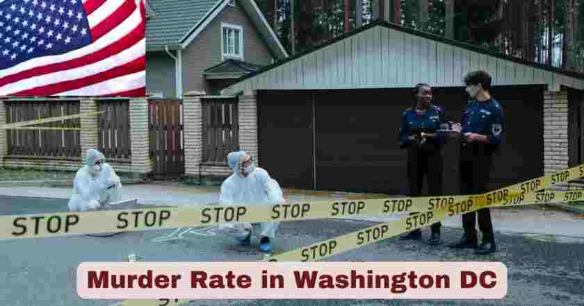 Murder Rate in Washington DC 2025 | Stats & Facts about Murder Rate in DC